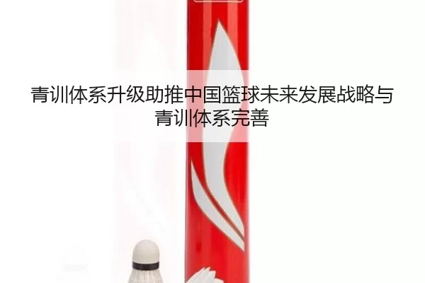 青训体系升级助推中国篮球未来发展战略与青训体系完善